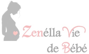 logo zelv bb